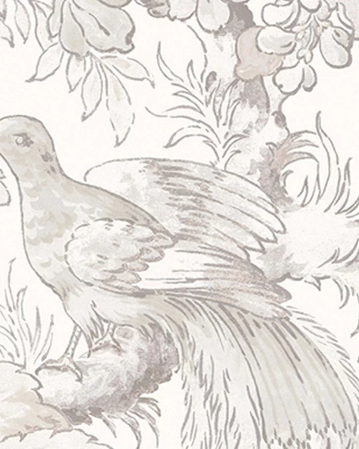 Birtle Dove Grey Wallpaper Sample - Image 4