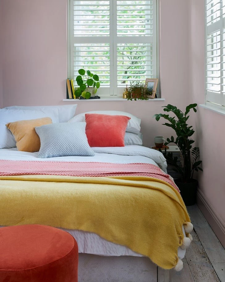 Blush Paint - Image 2