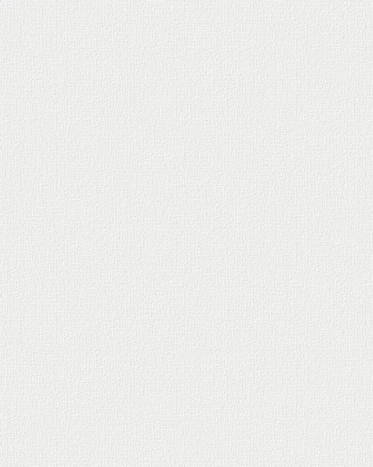 Canvas Paintable White Wallpaper