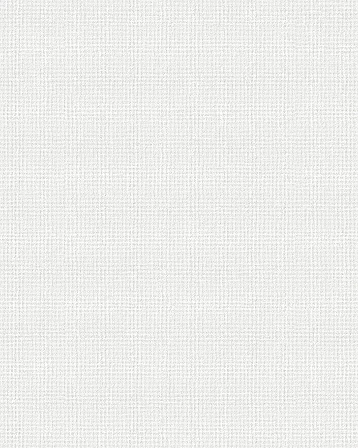 Canvas Paintable White Wallpaper Sample