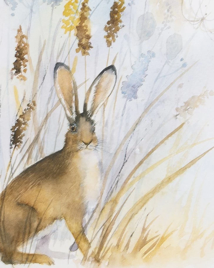 Country Hare Framed Print Wall Art - Image 3
