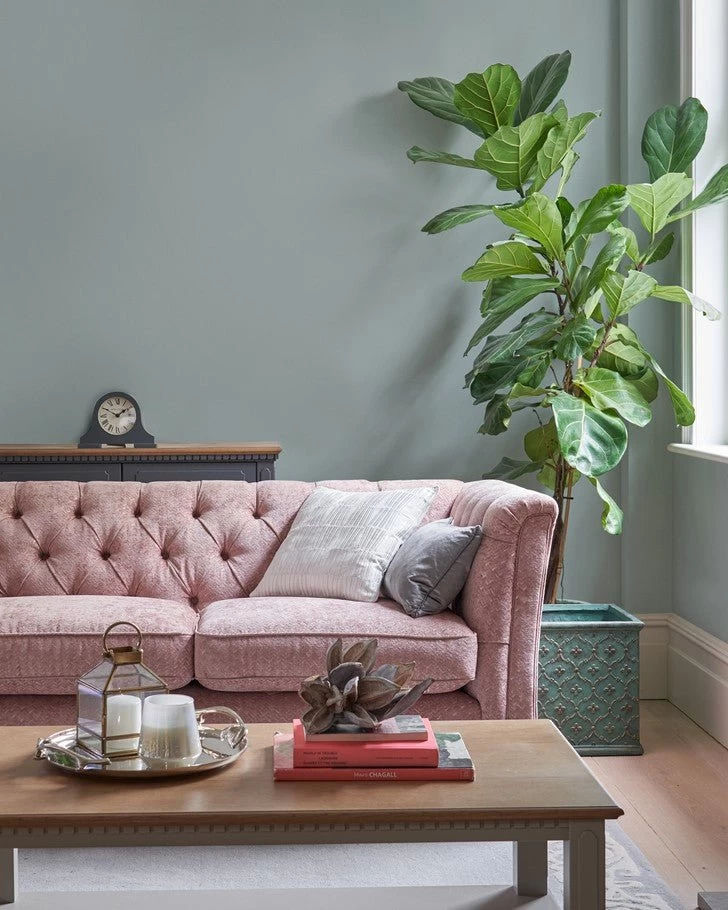 Duck Egg Paint - Image 2