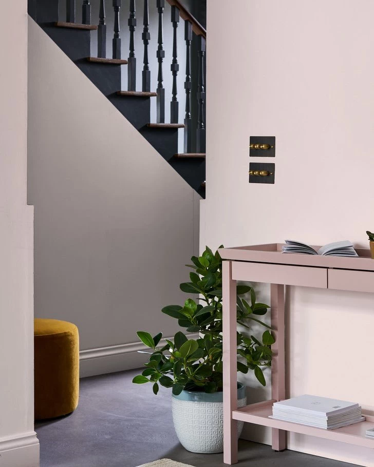 Pale Blush Paint - Image 2