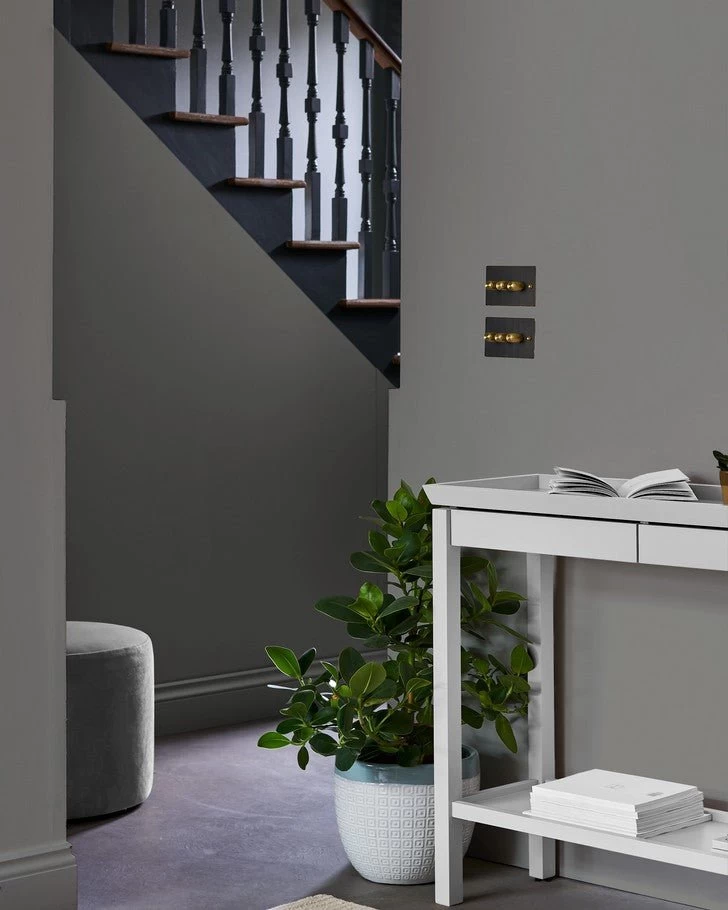 Pale Charcoal Paint - Image 2