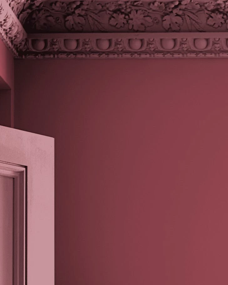 Pale Cranberry Paint - Image 3
