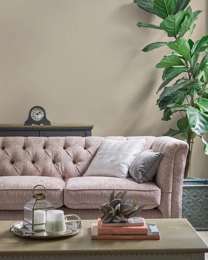 Pale Linen Paint - Image 3