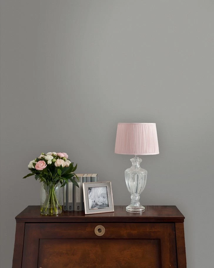 Pale Steel Paint - Image 2