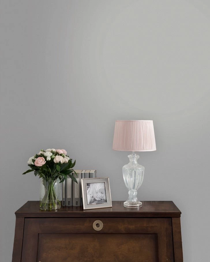 Silver Paint - Image 2