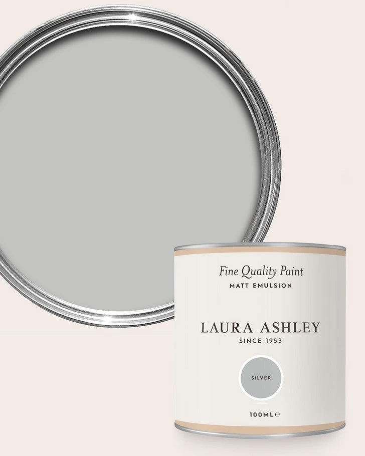 Silver Paint - Image 3