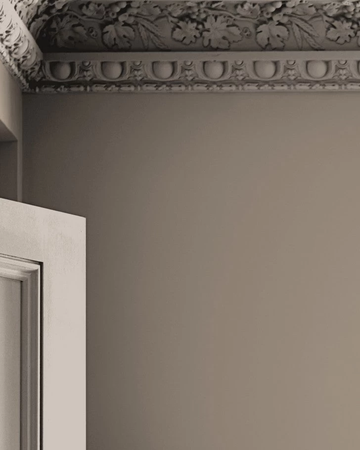 Truffle Paint - Image 4